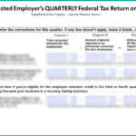 941 X 31b Recovery Startup Business Checkbox Form Instructions