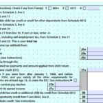 Check Economic Impact Payments And Advanced Child Tax Credit