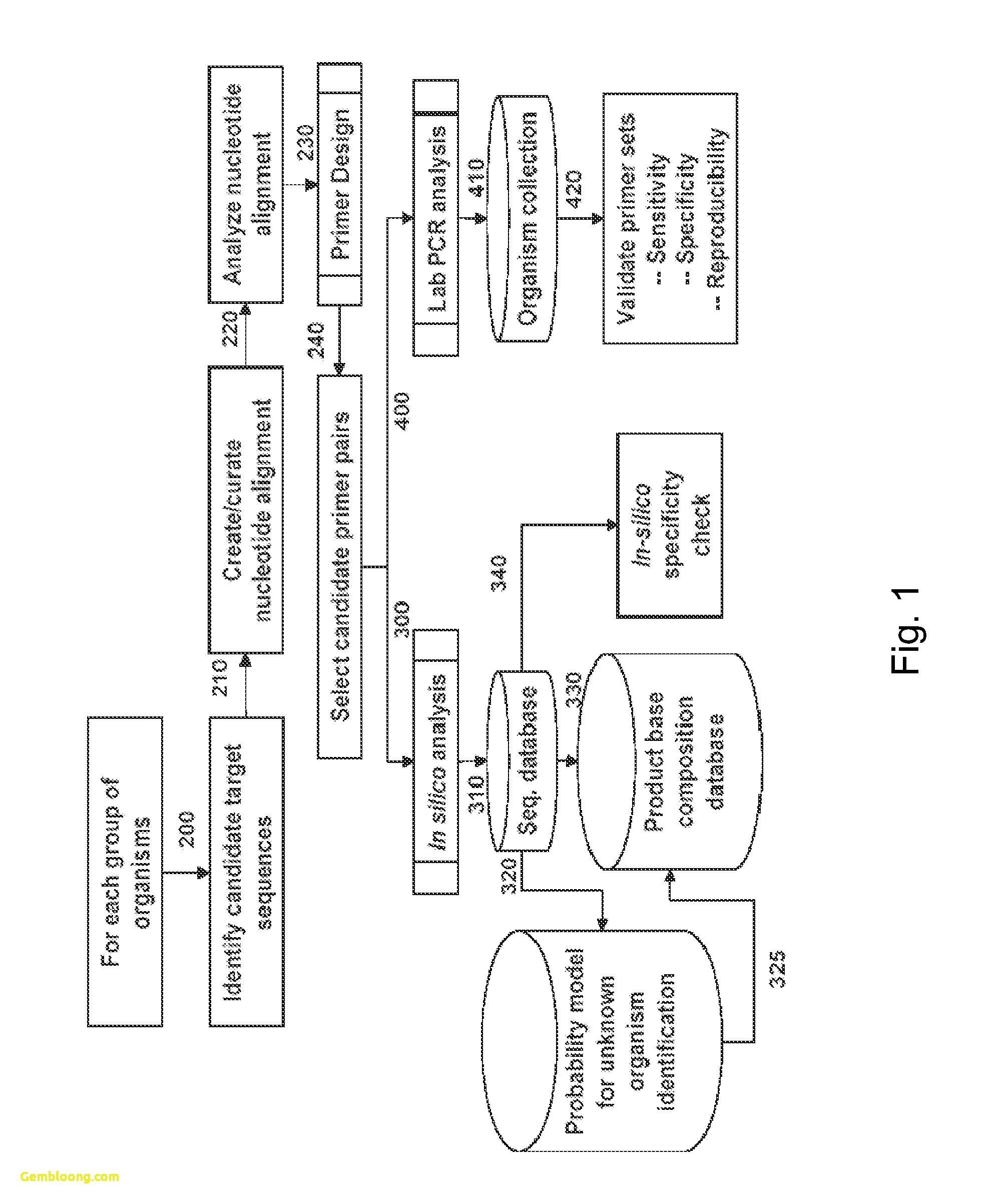 Irs Form 1040 Reconciliation Worksheet IRSTAC