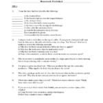Momentum Problems Worksheet Printable Worksheets And Activities For
