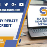 Recovery Rebate Tax Credit En Tax Season Professional Software YouTube